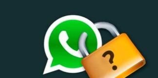 Saiba como proteger seus dados e sua privacidade no WhatsApp