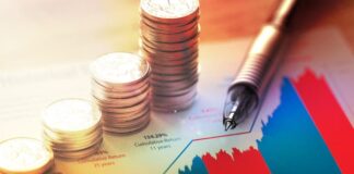 Veja como investir em sua aposentadoria complementar com o Tesouro Nacional Investimento