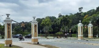 UFV abre vagas para 66 cursos gratuitos de Graduação em 2024 UFV 4 Pilastras