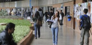 MEC vai nomear mais de 200 Técnicos em Assuntos Educacionais UNB estudantes