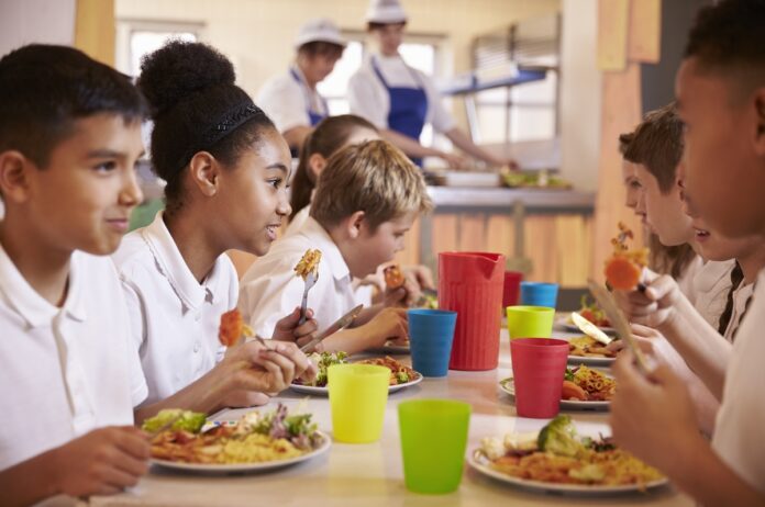 Primary school kids eat lunch in school cafeteria, close up Edital de segurança alimentar abre inscrições para projetos