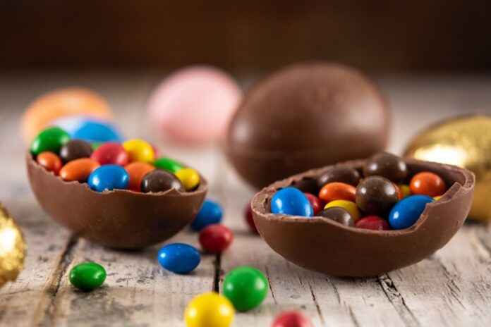 Chocolate é altamente tóxico para os cães