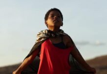 Feito Pipa é escolhido para representar o Brasil na disputa pelo Oscar 2027