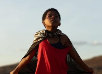 Feito Pipa é escolhido para representar o Brasil na disputa pelo Oscar 2027